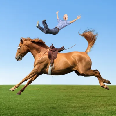 Illustration unsaddled - Image 1