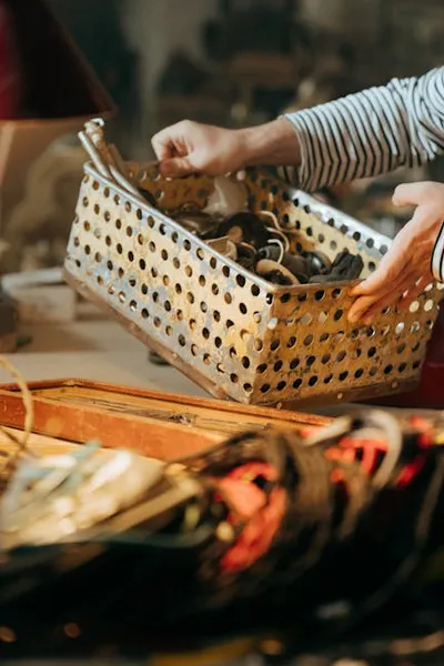 Illustration crafted - Image 2