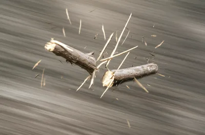 Illustration snaps - Image 1