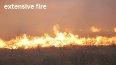 Illustration extensively - Image 2