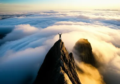 Illustration scalps - Image 1