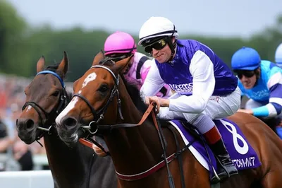 Illustration jockey - Image 1