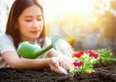 Illustration affecting - Image 1