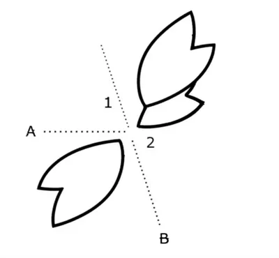 Illustration coordinates - Image 1
