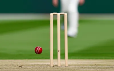 Illustration wickets - Image 1