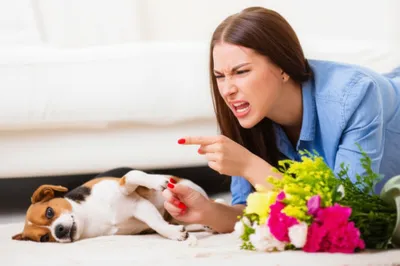 Illustration rattling - Image 1