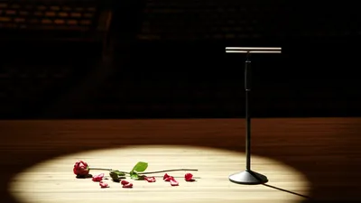 Illustration silenced - Image 1