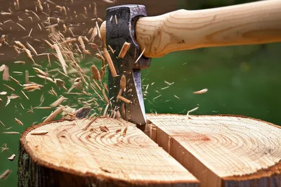 Hình ảnh minh họa clave - Ảnh 1