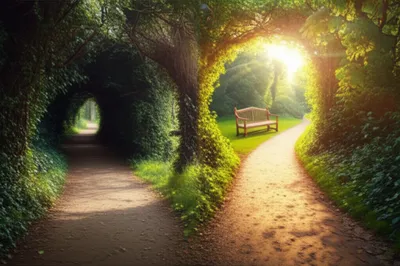 「preferred」の視覚的なイラスト - 好む, 優先する