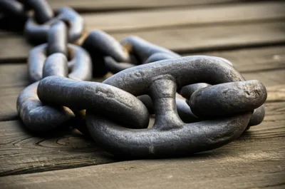 Illustration stays - Image 1