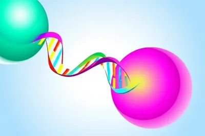 Illustration transfers - Image 1