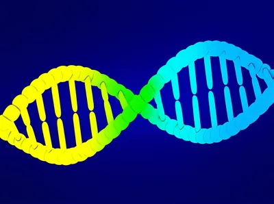 Illustration splicing - Image 1