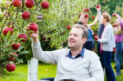 Illustration impairments - Image 1