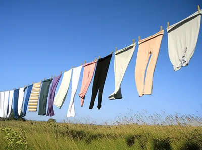 Illustration win - Image 1