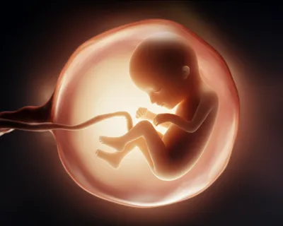 Illustration babies - Image 1