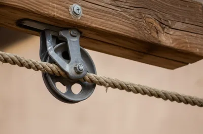 Illustration reeved - Image 1