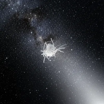 Illustration micro - Image 1