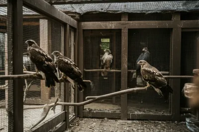 Illustration mow - Image 1