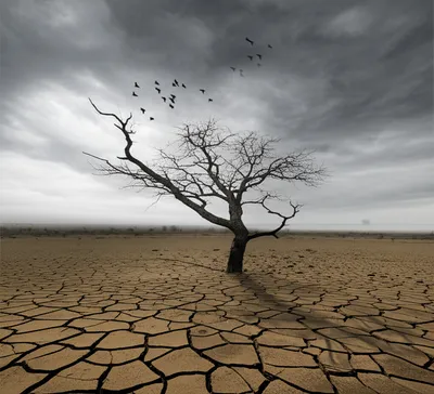 Illustration all - Image 1