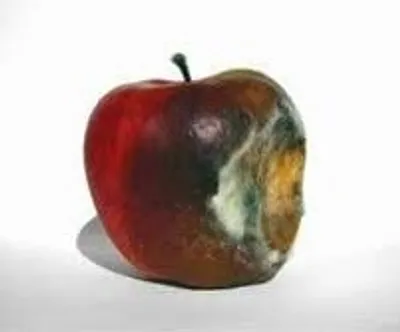 Hình ảnh minh họa corruption - Ảnh 3