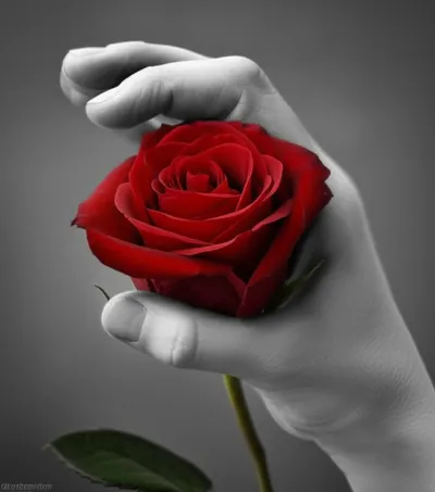 Illustration silences - Image 1