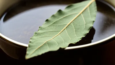 Illustration bay - Image 1