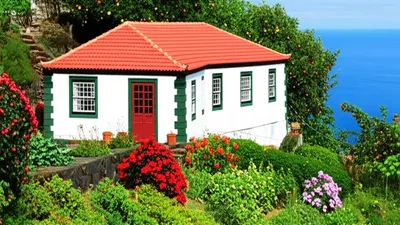 Illustration quinta - Image 1