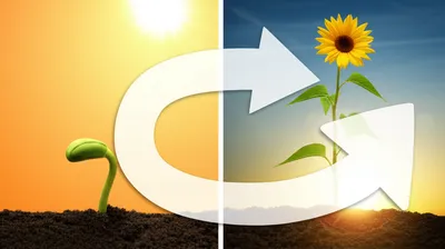 Illustration consecutive - Image 1