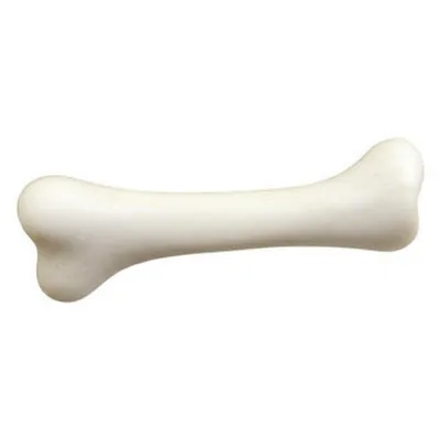 Illustration bone - Image 1