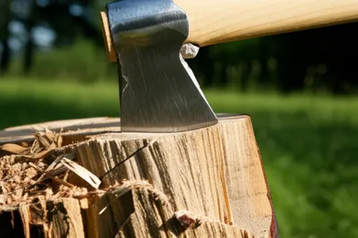 Illustration ax - Image 1