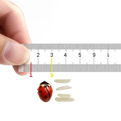 Illustration centimeter