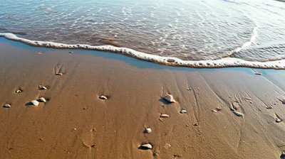 Illustration retires - Image 1