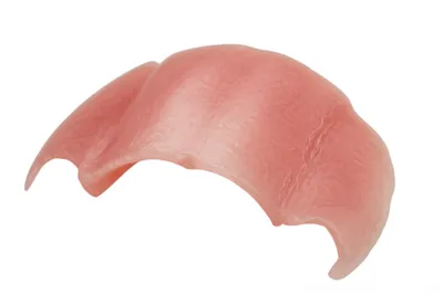 Illustration festoon - Image 1