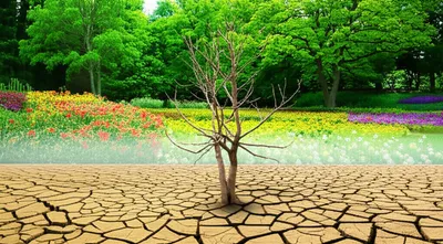 Illustration beggars - Image 1