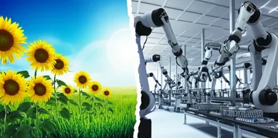 Illustration demarcating - Image 1