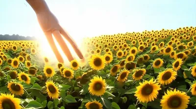 Illustration compelling - Image 1