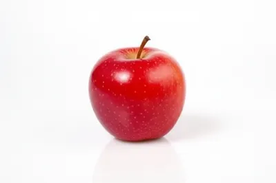 Illustration nominative - Image 1