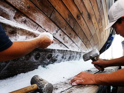 Illustration salted - Image 1