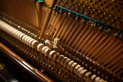 Illustration action - Image 1