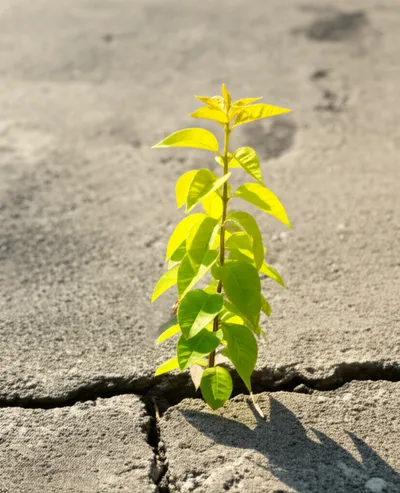 Illustration graduating - Image 1