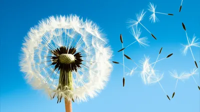 Illustration impetus - Image 1