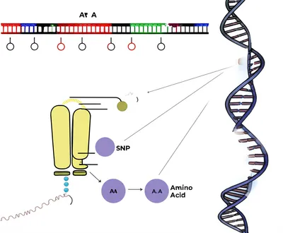 Illustration synonymous - Image 1