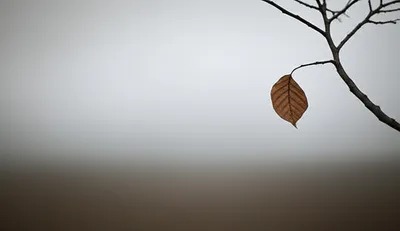 Illustration departs - Image 1