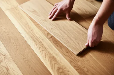 Illustration key - Image 1