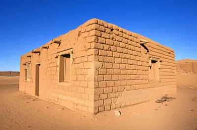 Illustration adobe - Image 1