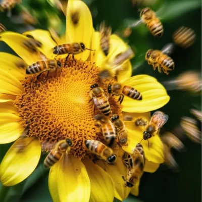 Illustration buzzing