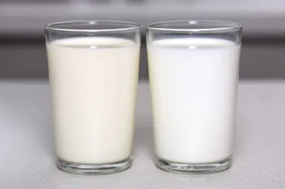 Illustration homogenizing - Image 1