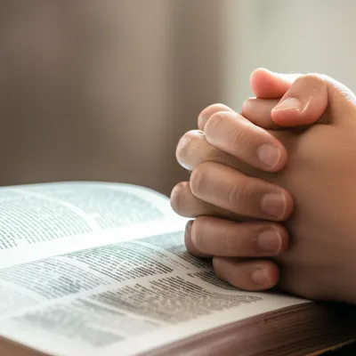 Illustration collect - Image 1