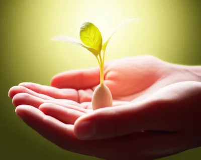 Illustration receive - Image 1