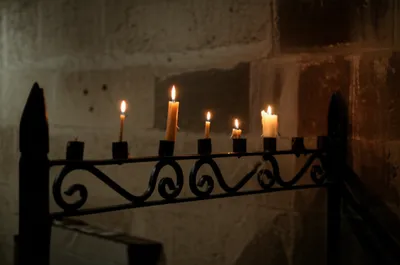 Illustration perches - Image 1